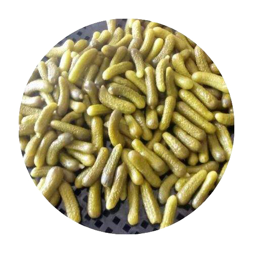 PICKLED CUCUMBERS 
