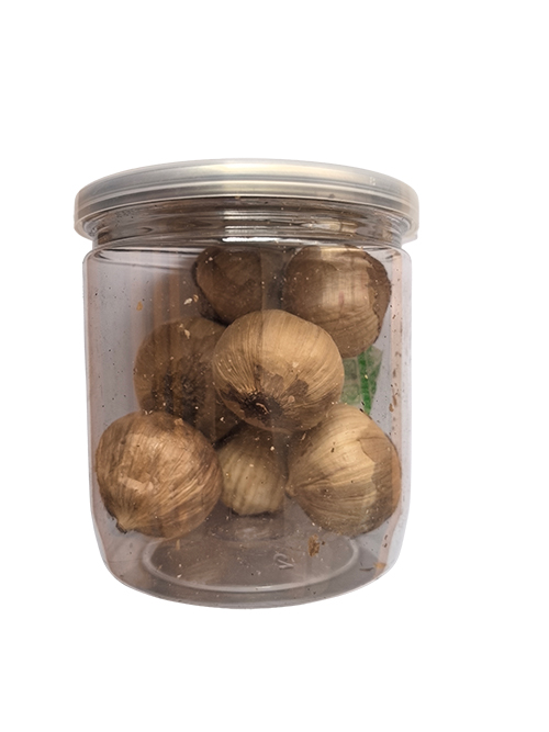 BLACK GARLIC IN JARS 